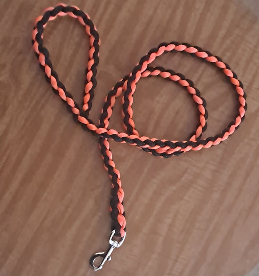 Reflective Leash