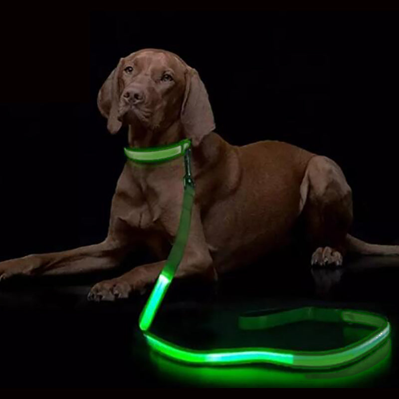 Luminous Rope Lead Leash