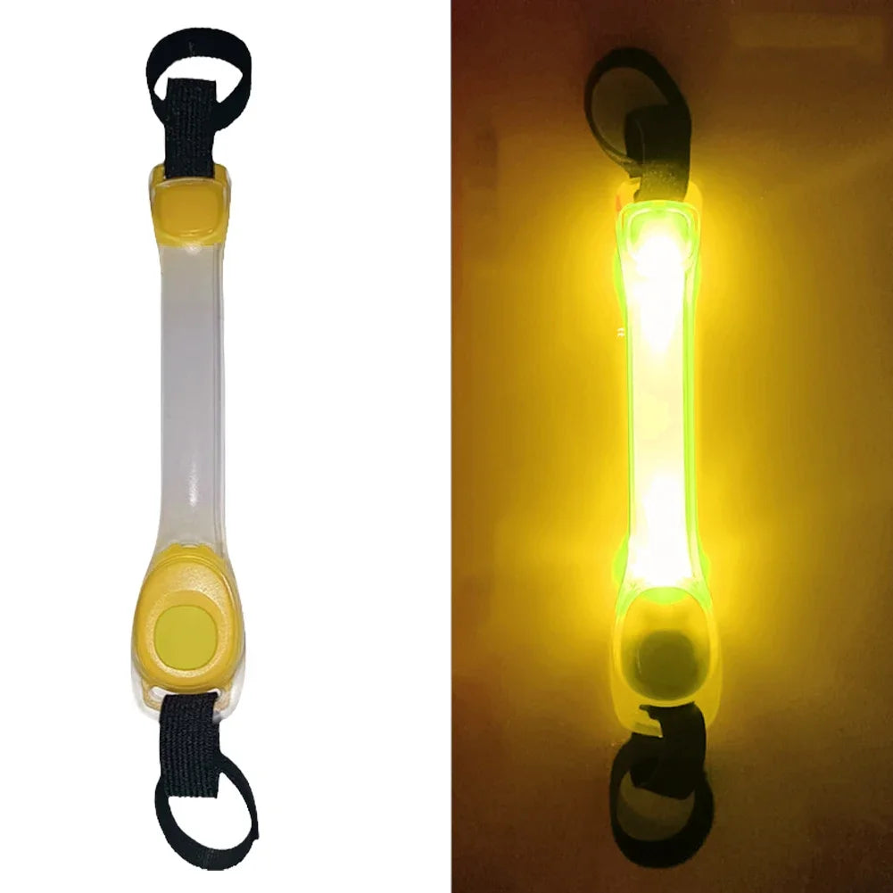 Safety Glowing Dog Collar and lead