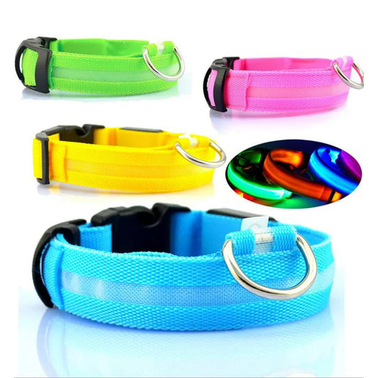 USB Charging Light Up Dog Collar