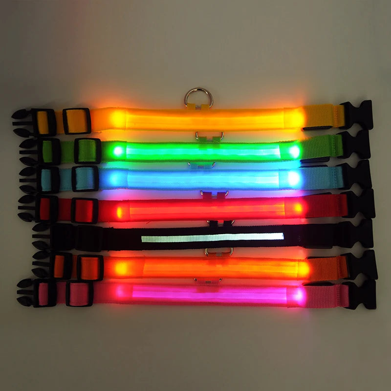 USB Charging Light Up Dog Collar