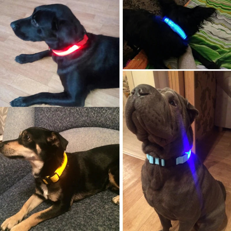 USB Charging Light Up Dog Collar