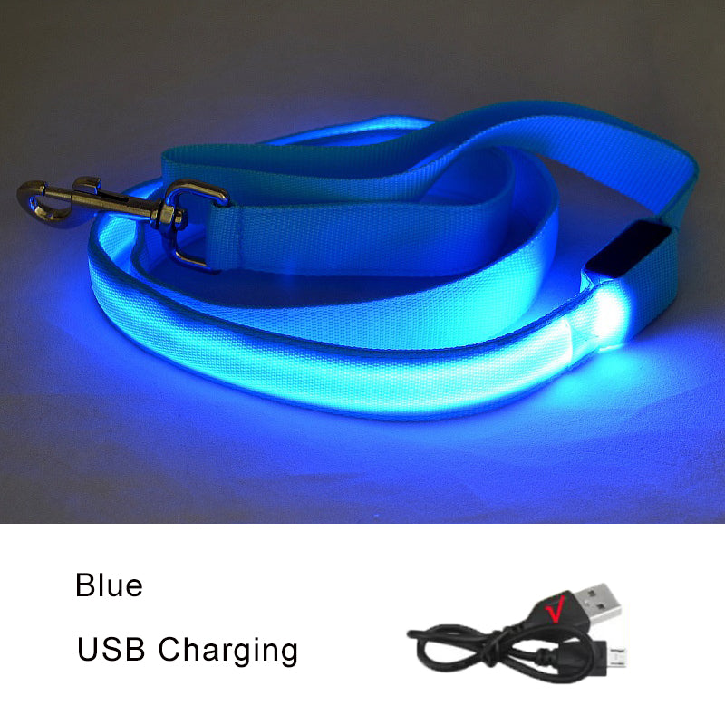 Luminous Rope Lead Leash