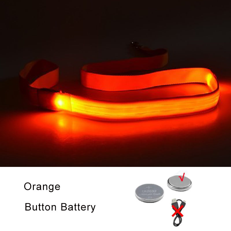 Luminous Rope Lead Leash