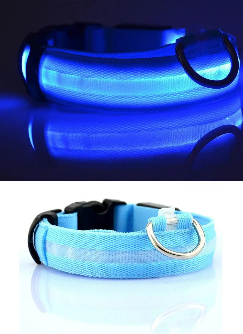 USB Charging Light Up Dog Collar