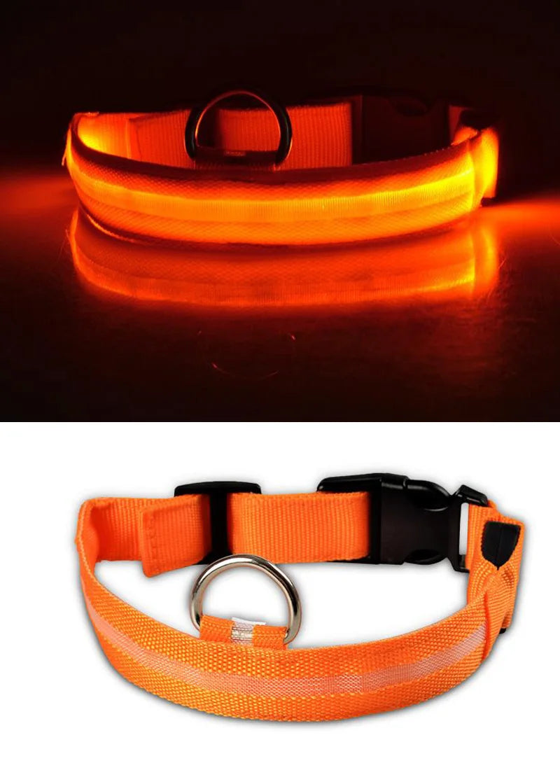 USB Charging Light Up Dog Collar