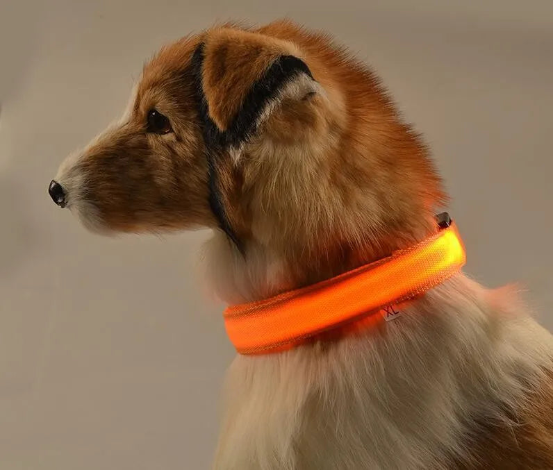 USB Charging Light Up Dog Collar