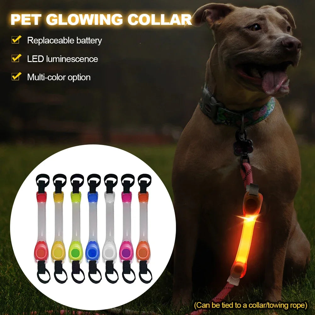 Safety Glowing Dog Collar and lead