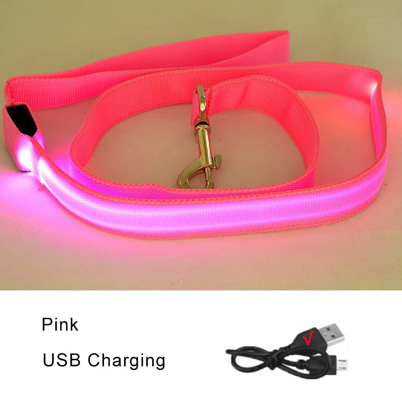 Luminous Rope Lead Leash