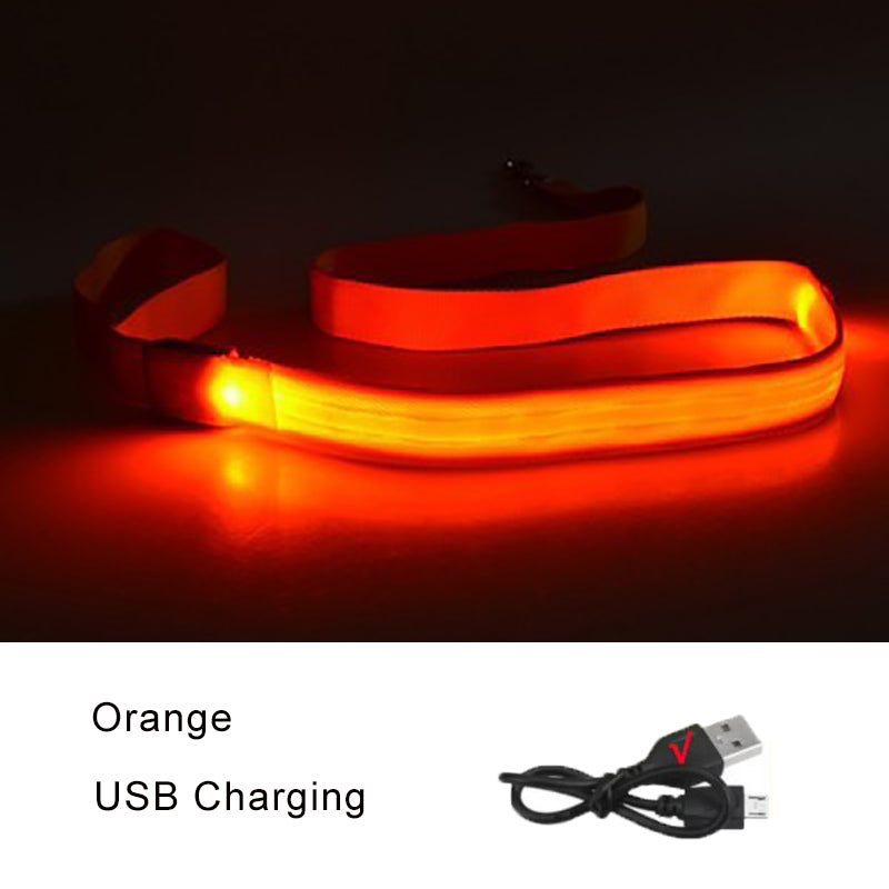 Luminous Rope Lead Leash