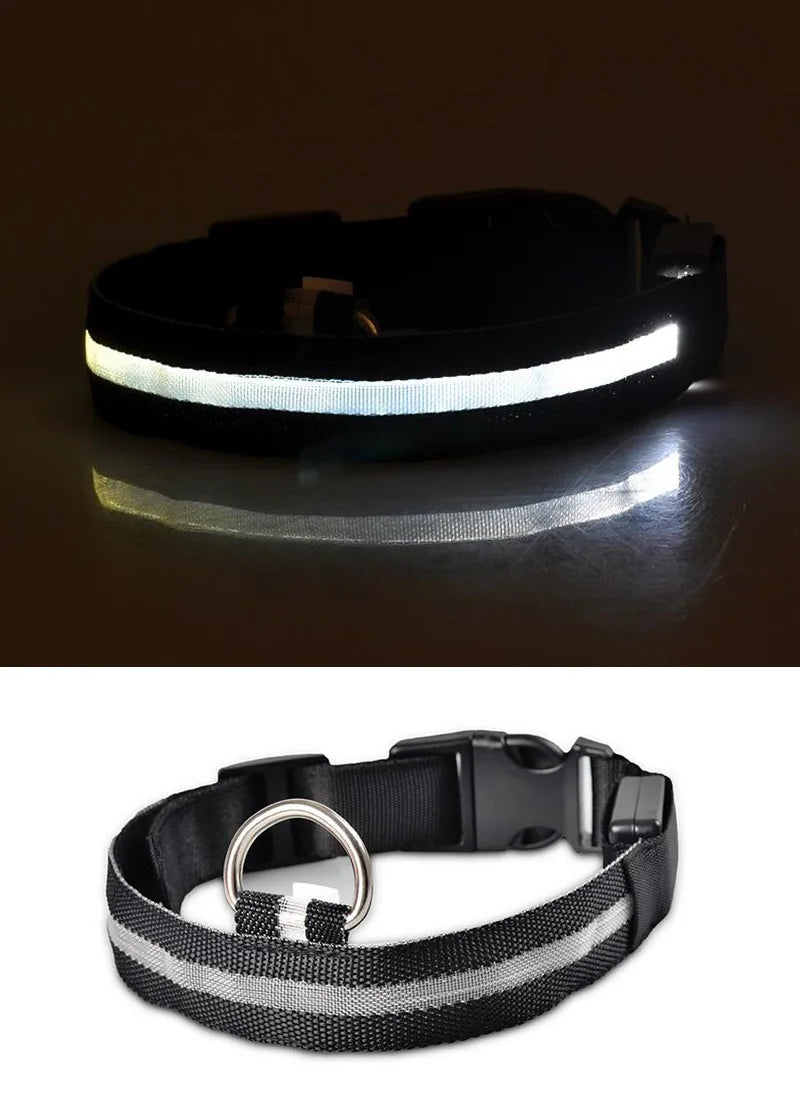 USB Charging Light Up Dog Collar