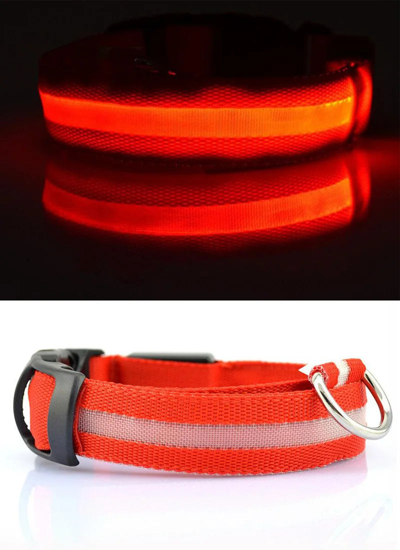 USB Charging Light Up Dog Collar