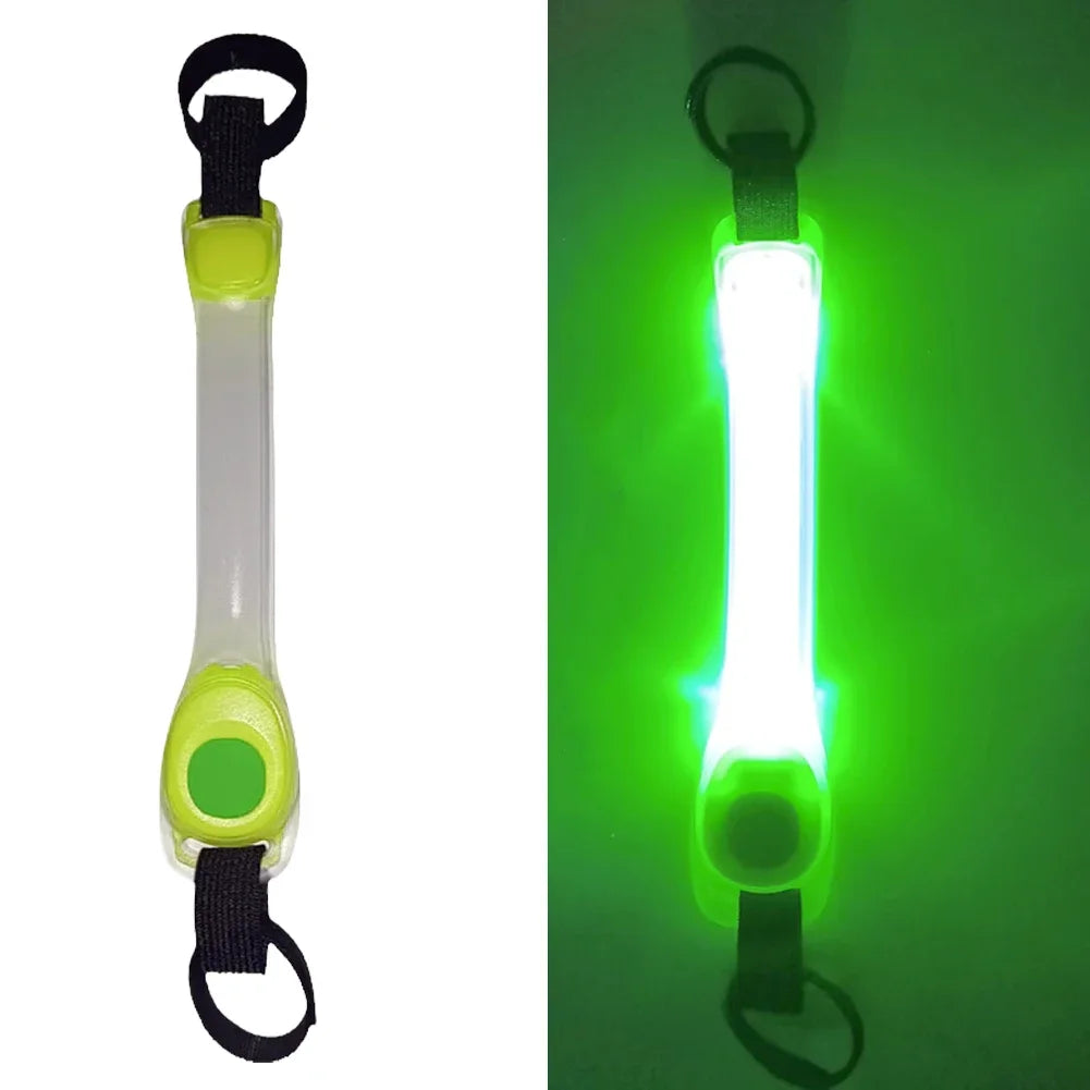 Safety Glowing Dog Collar and lead