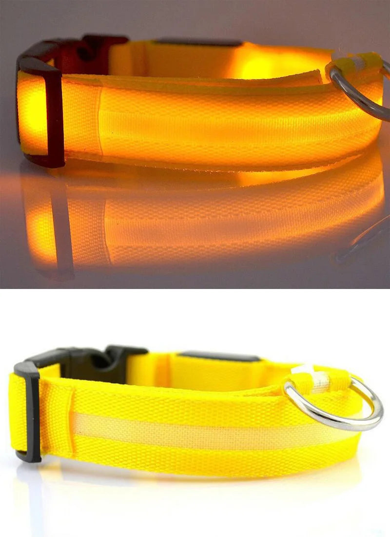 USB Charging Light Up Dog Collar