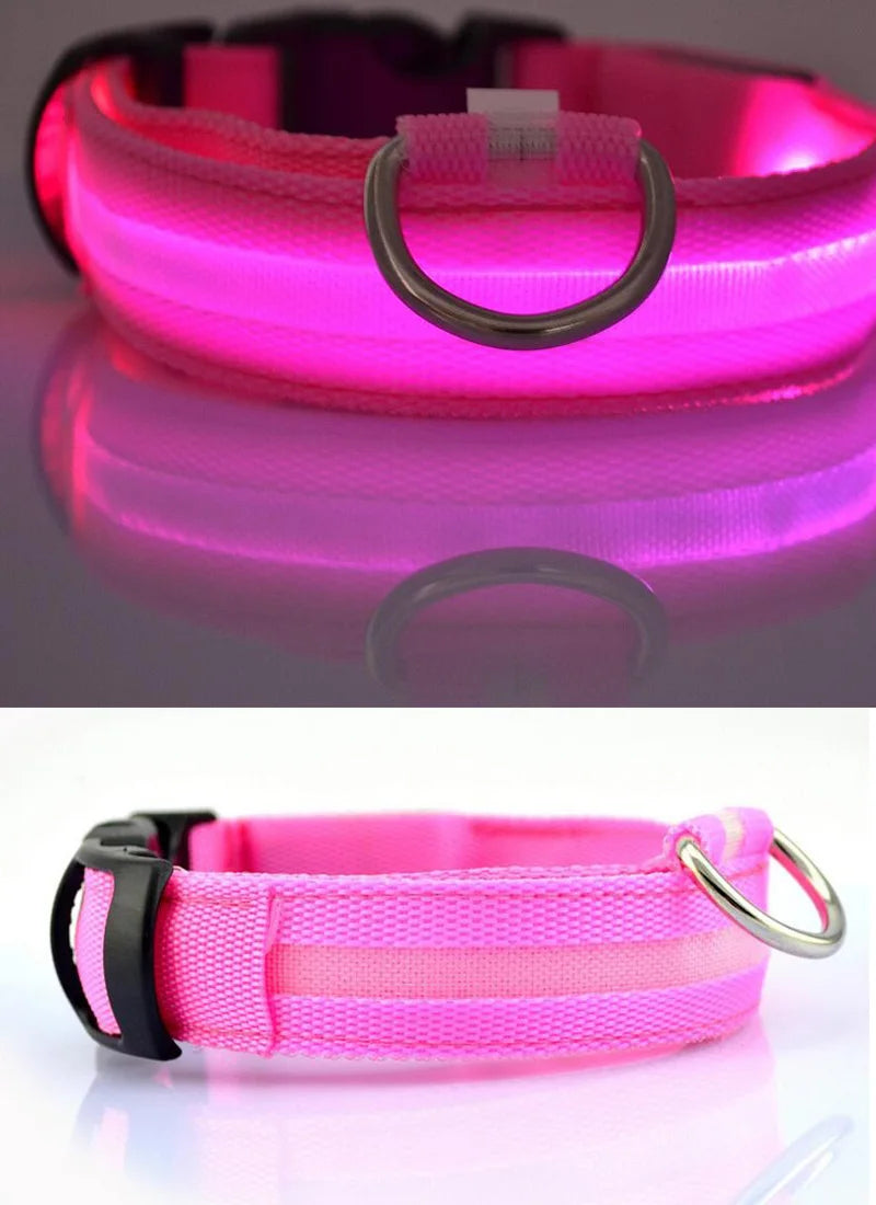 USB Charging Light Up Dog Collar