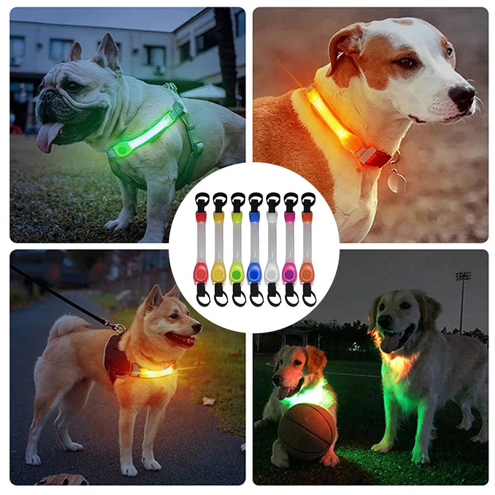 Safety Glowing Dog Collar and lead