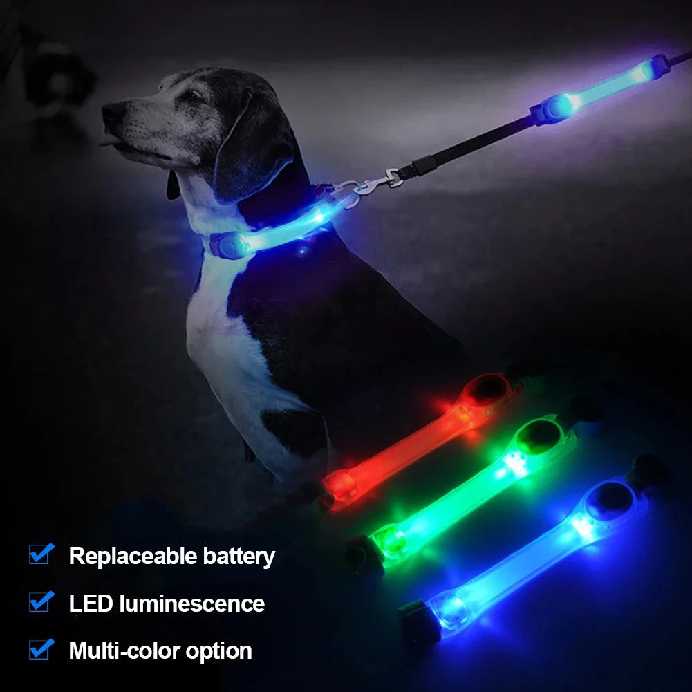 Safety Glowing Dog Collar and lead