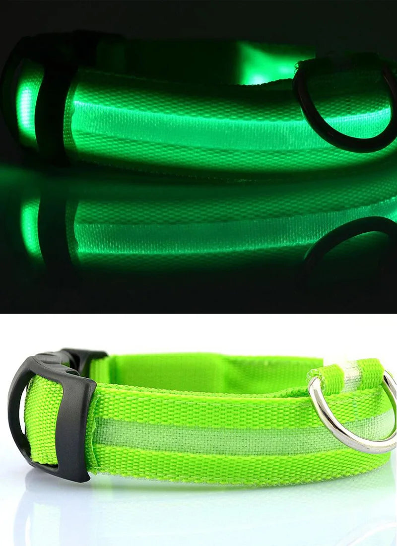 USB Charging Light Up Dog Collar